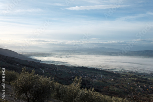 Beautiful view of Umbria valley in a winter morning  with fog covering trees and houses and olive plants in the foreground