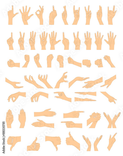 Gestures of hands on a white background. Vector illustration.