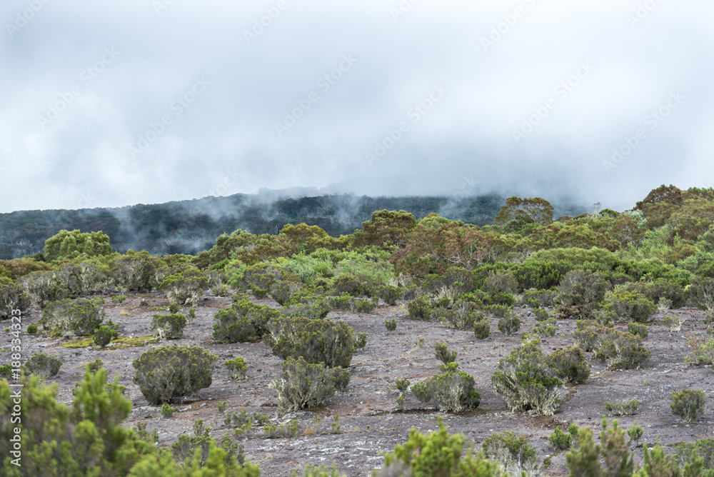 Désert Volcanique, Ile de La Réunion