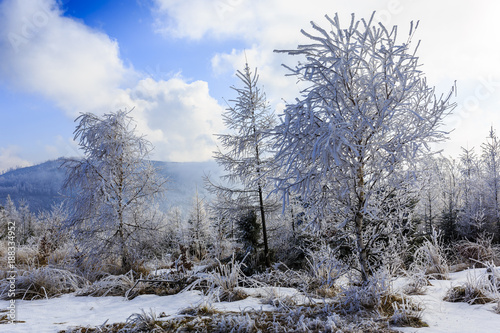 Winter scenery in the Beskid Mountains in Poland. 