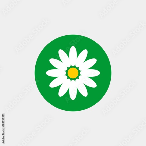 Chamomile flat vector icon