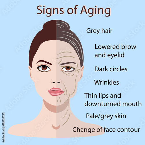 Vector signs of aging face with two types of skin, young and old isolated