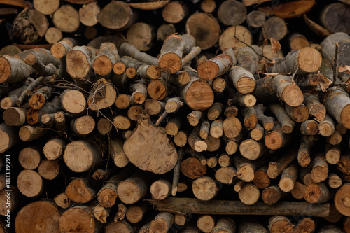 Cut wood  firewood for the winter. Cut logs fire wood and ready pieces of wood for heating wood. Lumber industry. Heating season  winter season. Renewable resource of energy. Environmental concept.