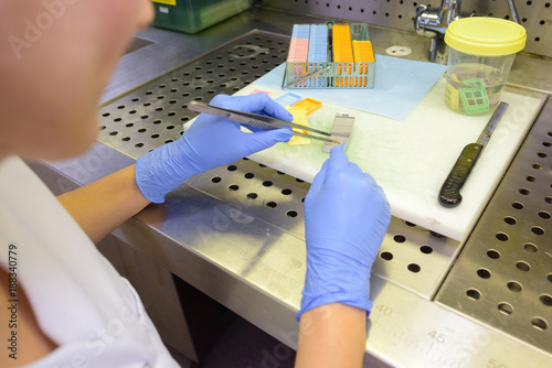 examination of the evidence photo