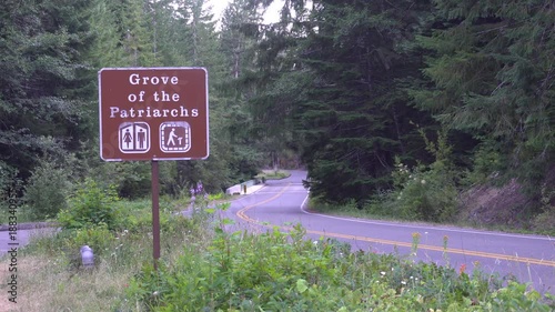 Mt Rainier Grove of the Patriarchs Sign