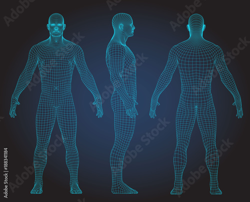 Set of 3D wire frame human body vector illustration. Front, Back, Side view