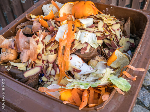 Foto Bioabfall in der Biotonne
