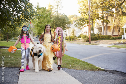 Children And Dog In Hallowe...