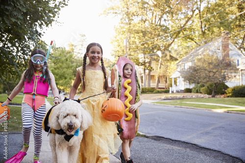 Children And Dog In Hallowe...