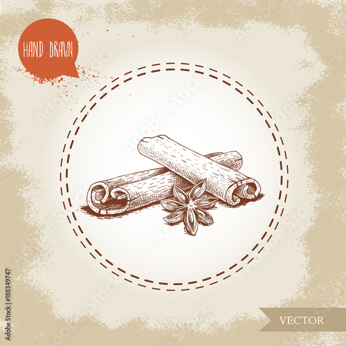 Hand drawn sketch style cinnamon sticks and anise composition isolated on vintage background. Vector healthy spice and condiment illustration.