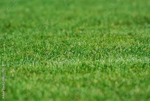 American Football grass field close up