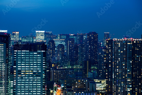 Cityscape view of Tokyo Japan