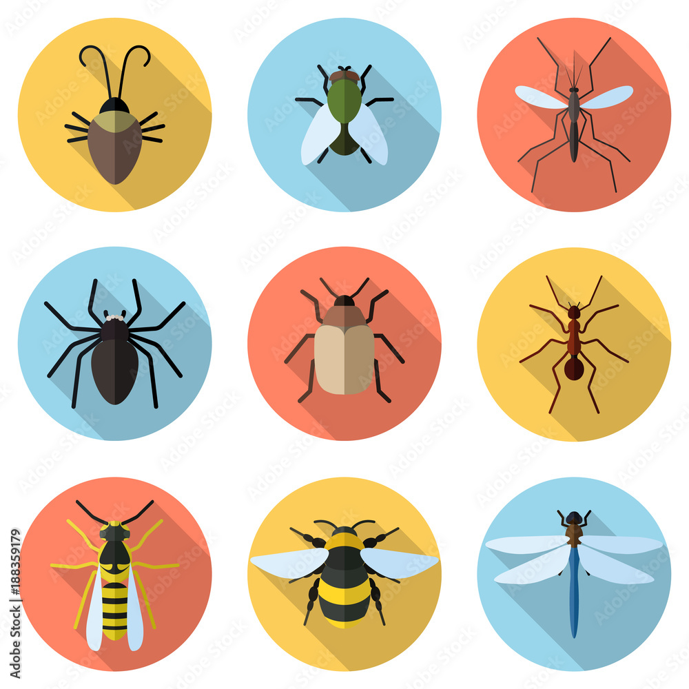 Set of 9 insects icons Set of 9 insects icons