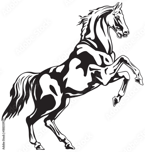 Horse Reared black and white animal vector drawing for tattoo, sign or logo