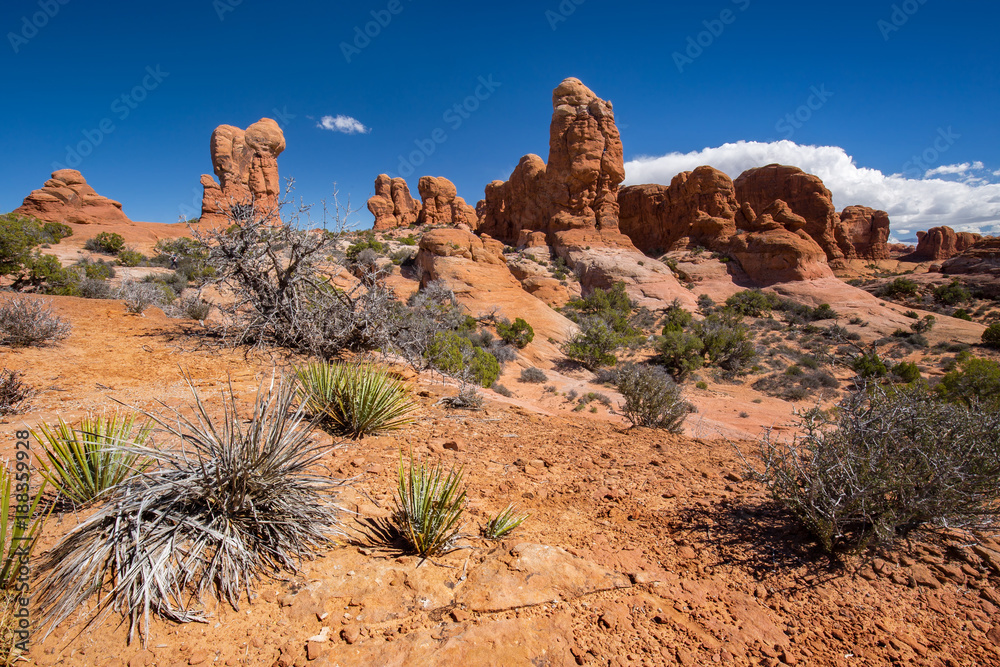 sandstone rock formations in arches national park