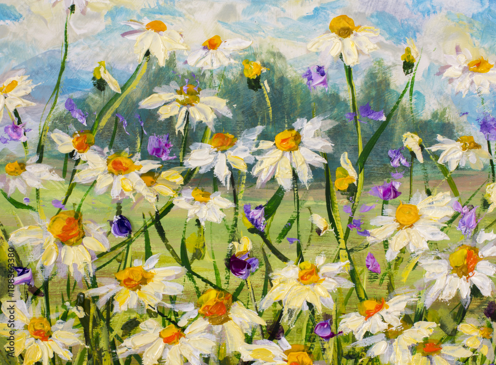 Obraz Oryginalny obraz olejny kwiatów białych stokrotek, piękne kwiaty polne na płótnie. Nowoczesny impresjonizm. Nóż paletowy Grafika Impastowa.