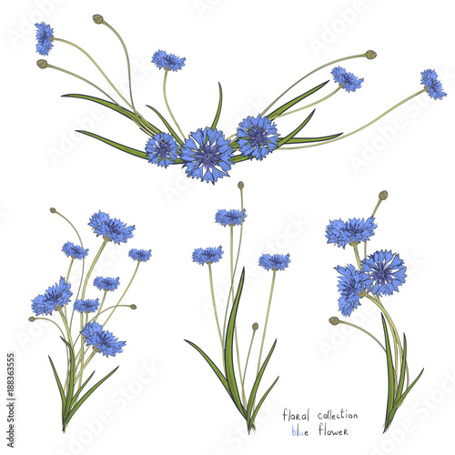 Floral wreath with stylized blue flowers of cornflowers and green leaves