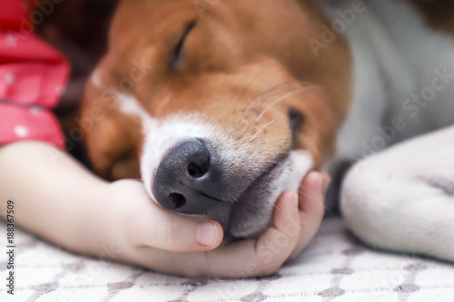 A child holding a dog's head.
