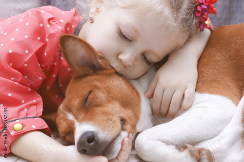 Little blonde curly girl hugging a red basenji dog.