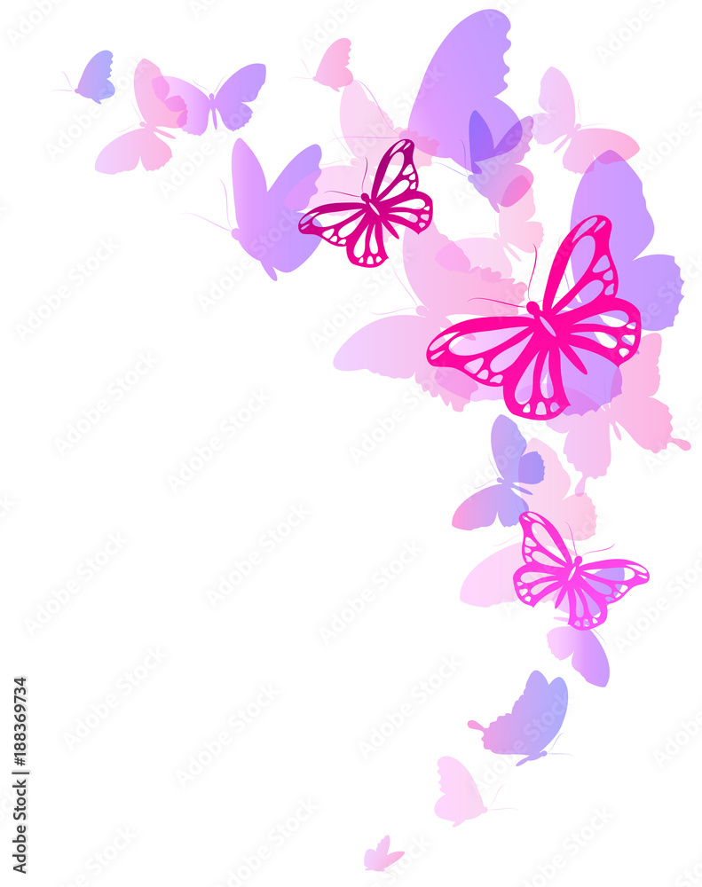 beautiful pink butterflies, isolated on a white beautiful pink butterflies, isolated on a white