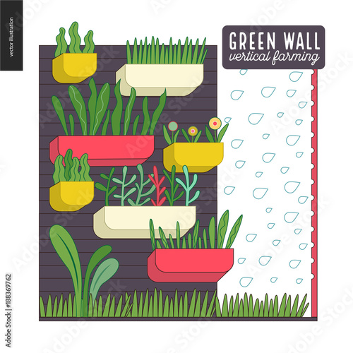 Urban farming, gardening or agriculture. Green wall - vertical farming. A wall with flowerpots and irrigating system