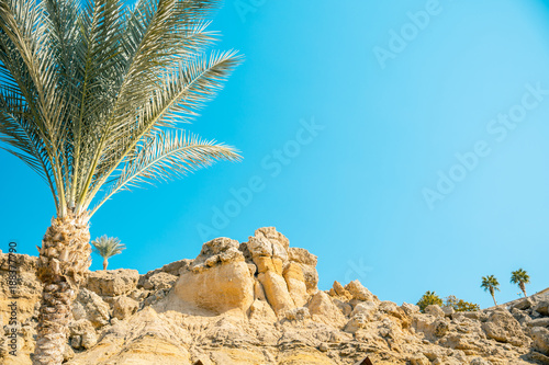 Looking through palm leaves at the picturesque dream beach with white sand, golden granite rocks, palm trees and a blue sky photo