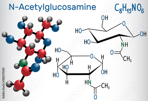 N-Acetylglucosamine (NAG) molecule, is the monomeric unit of the chitin and polymerized with glucuronic acid, it forms hyaluronic acid. Structural chemical formula and molecule model.