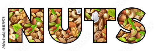 Font of nuts. Food grains of cashew and brazilian nut, coconut and cedar, hazelnut and cashew, almonds and walnut, nutmeg and pecan, peanut and macadamia, pistachio.
