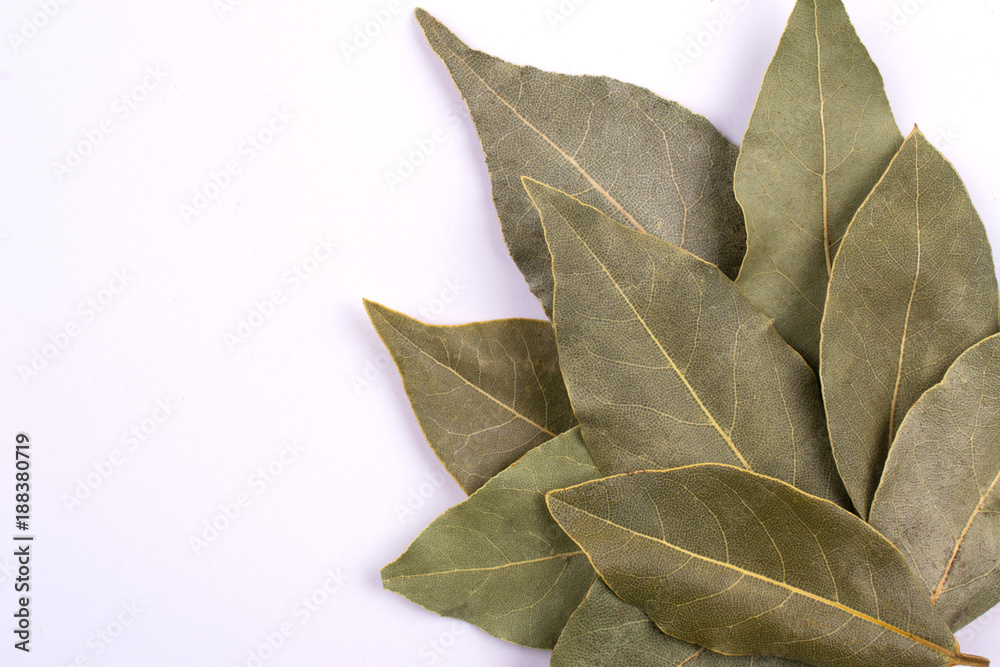 Dry laurel bay leaf isolated on white background. Dry laurel bay leaf isolated on white background.