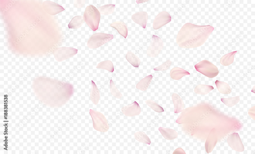 Naklejka premium Różowe sakura spadające płatki tła. Ilustracji wektorowych