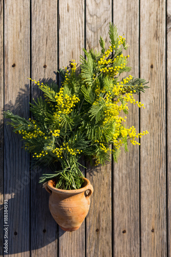 A bouquet of yellow mimosa flowers in a clay vase. A bouquet of flowers on a wooden background. A symbol of spring.