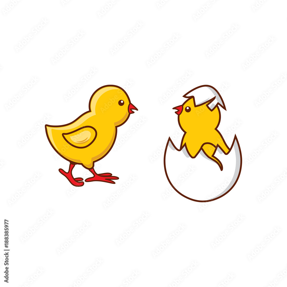 vector flat cute baby chicken, yellow small chick hatching from egg set. Flat bird animal, isolated illustration on a white background, poultry, farm organic food products advertising design object.