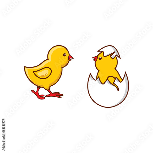 vector flat cute baby chicken, yellow small chick hatching from egg set. Flat bird animal, isolated illustration on a white background, poultry, farm organic food products advertising design object.