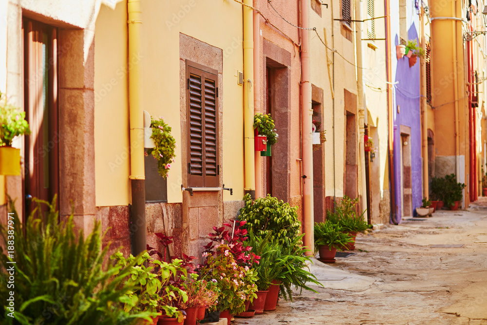 Fototapeta Colorful houses on a street of Bosa, Sardinia, Italy