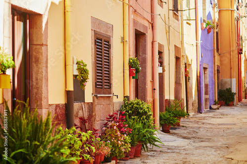 Fototapeta Naklejka Na Ścianę i Meble -  Colorful houses on a street of Bosa, Sardinia, Italy