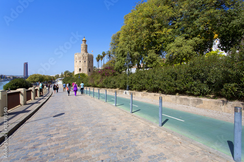 The famous Torre del Oro, the Moorish tower built to defend Sevill photo