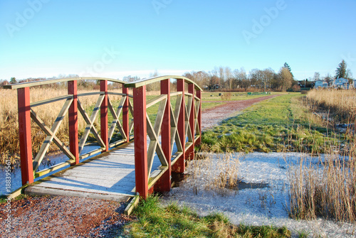 Wooden footbridge in a park