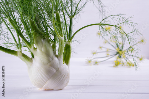 Raw fennel bulbs with green stems and leaves, fennel flowers and root ready to cook on white background