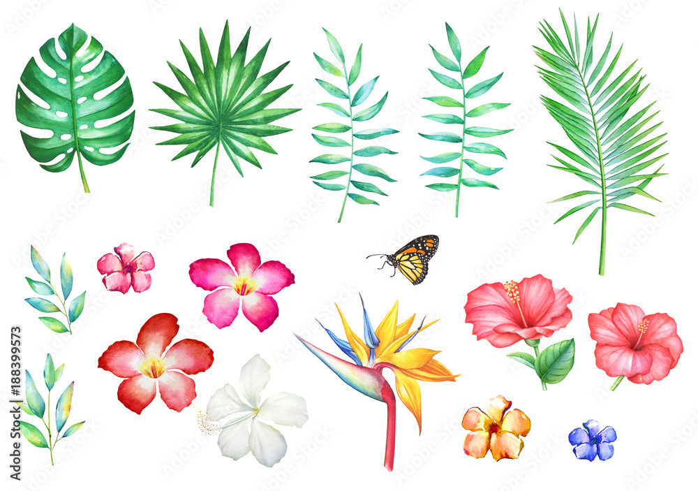 Set of watercolor hand drawn tropical flowers and plants isolated on white background.