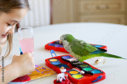 Fotografie The green quaker parrot is posing on paints while his owner - beautiful toddler