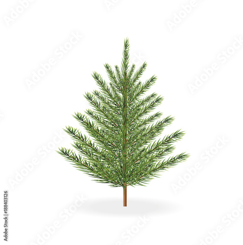 Christmas tree vector illustration. 