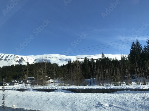 Icelandic Nature