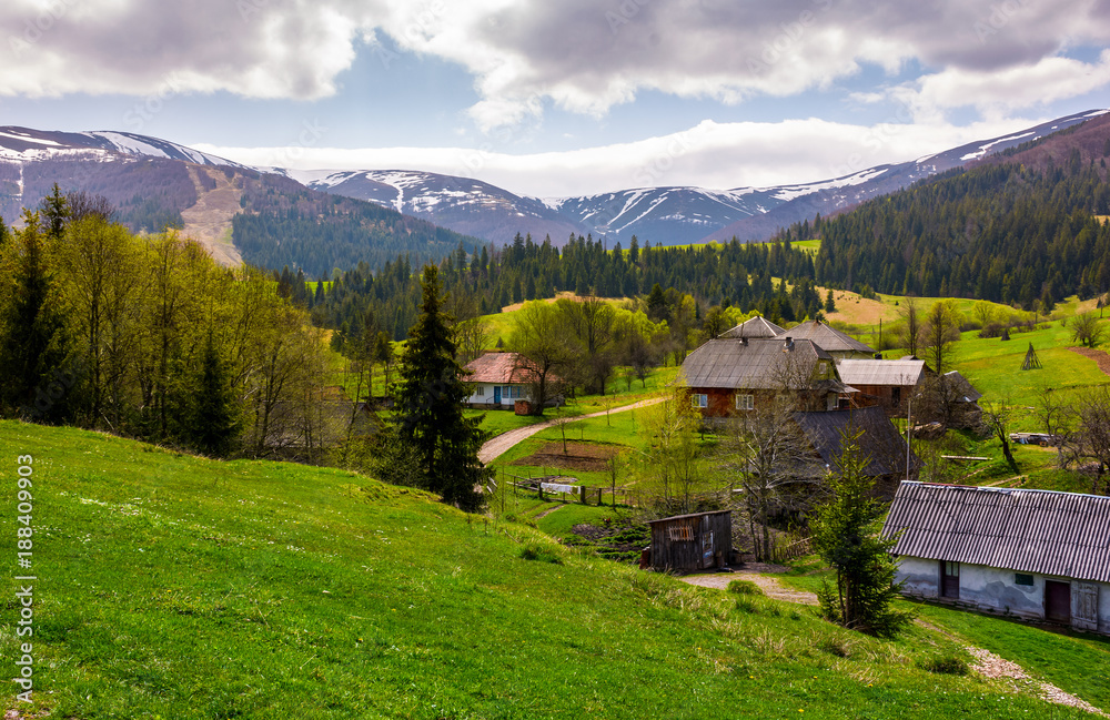 Podobovets village on grassy and forested hills. beautiful rural landscape at the foot of the Borzhava mountain ridge in springtime
