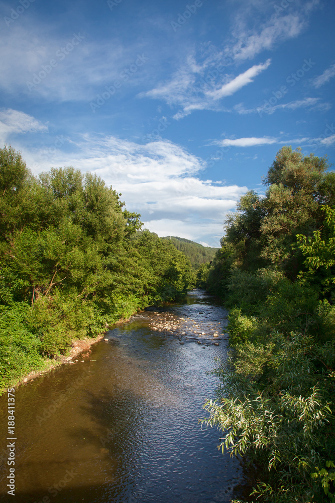 Beautiful view of forest river in summer Beautiful view of forest river in summer