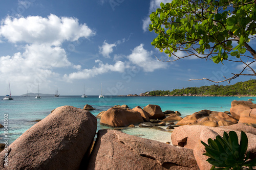 Rocky beach Anse Lazio with blue water and green tree at Praslin island  Seychelles