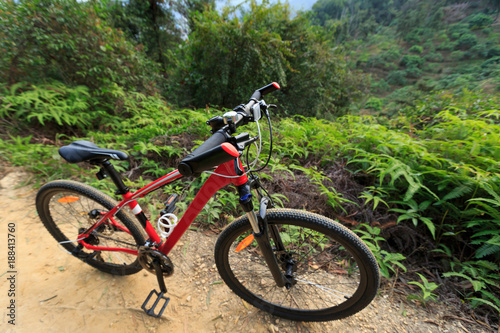 closeup of red muntain bike on forest trial