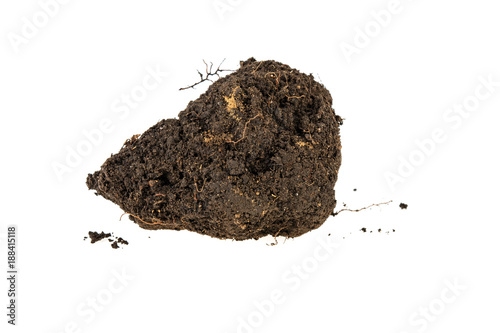 Valokuva clump of earth on white background