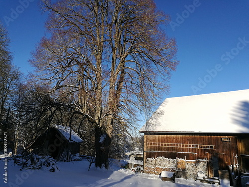 Kalter Winter mit viel Schnee, blauem Himmel und Sonnenschein auf einem Bauernhof in Rudersau bei Rottenbuch im Pfaffenwinkel im Kreis Weilheim-Schongau im schönen Oberbayern photo
