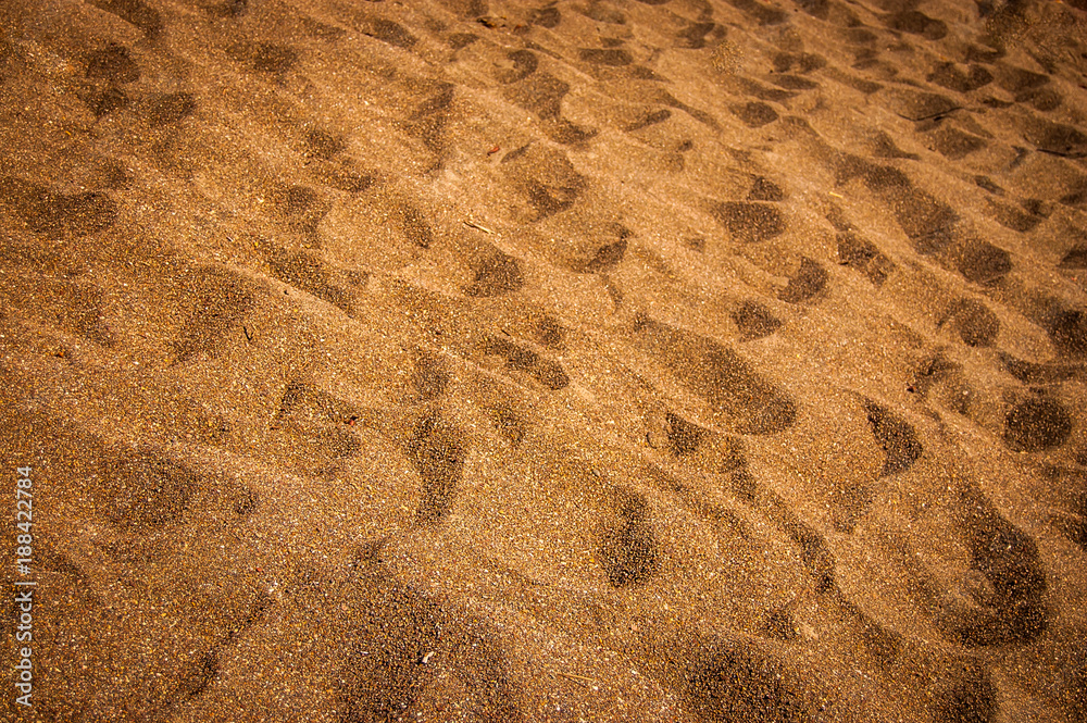 Abstract Sandy Beach Abstract Sandy Beach