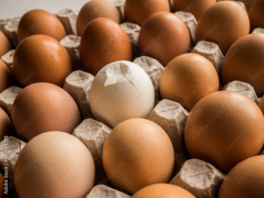eggs in a cardboard tray, one crack is different eggs in a cardboard tray, one crack is different